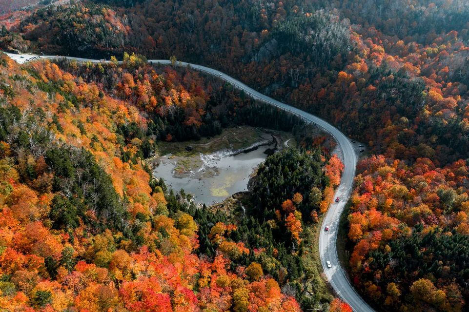 Una vista aerea di una strada tortuosa immersa in una fitta foresta con foglie autunnali dai colori vivaci arancioni e rossi, e un piccolo lago nelle vicinanze.