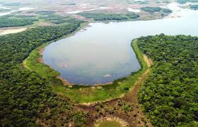Una vista aerea di un lago a forma di U circondato da una stretta riva erbosa e una fitta foresta verde.