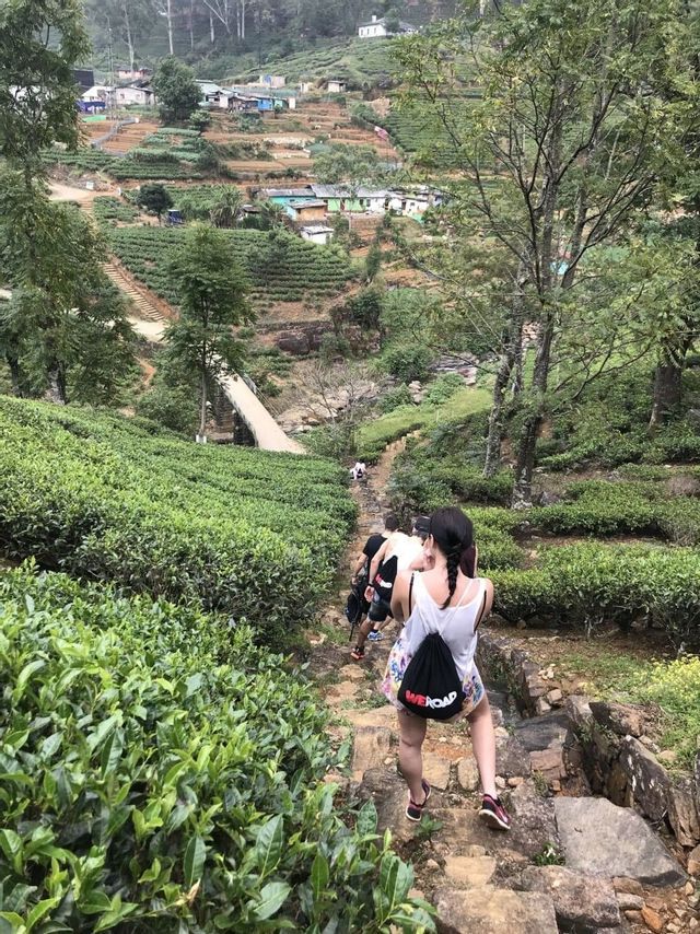 Paesaggio nello Sri Lanka WeRoad