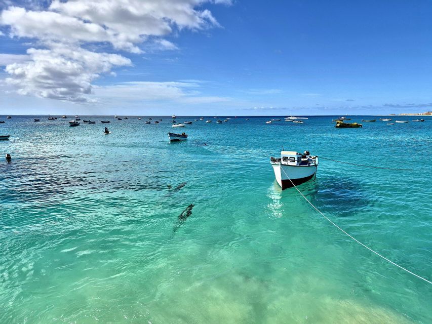 Decenas de pequeñas embarcaciones flotan sobre aguas tranquilas y turquesas, con las siluetas de grandes peces visibles bajo un cielo azul.
