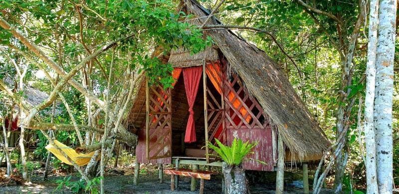 Une cabane rustique en bois avec un toit de chaume et des rideaux rouges se dresse sur pilotis dans une forêt verdoyante, avec un hamac jaune à proximité.