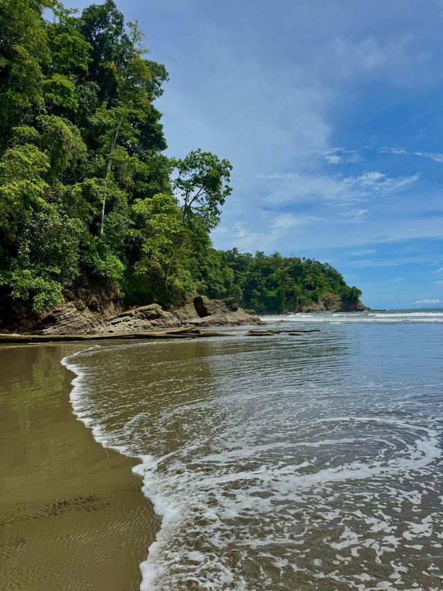 Dolci onde lambiscono una spiaggia sabbiosa accanto a una scogliera rocciosa coperta da fitti alberi verdi sotto un cielo parzialmente nuvoloso.
