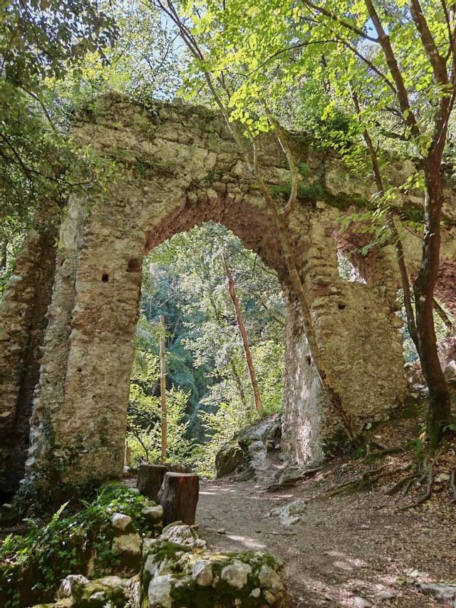 Un'antica rovina di un arco in pietra si erge in una fitta foresta, con un sentiero sterrato che si snoda sotto di esso tra gli alberi.