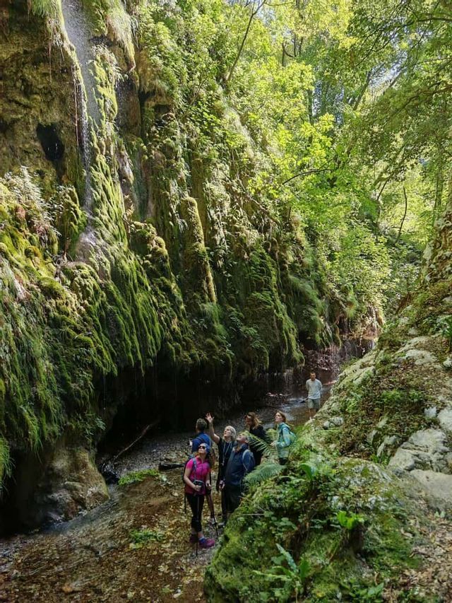 Un gruppo WeRoad si trova in un torrente all'interno di un canyon lussureggiante e coperto di muschio, mentre guarda una cascata che scende dalle rocce.