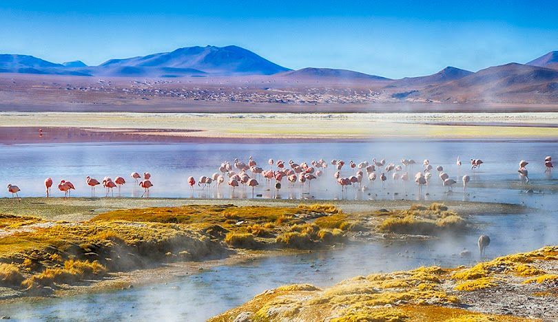 Uno stormo di fenicotteri rosa che guadano in una laguna colorata e nebbiosa con montagne sullo sfondo sotto un cielo azzurro limpido.