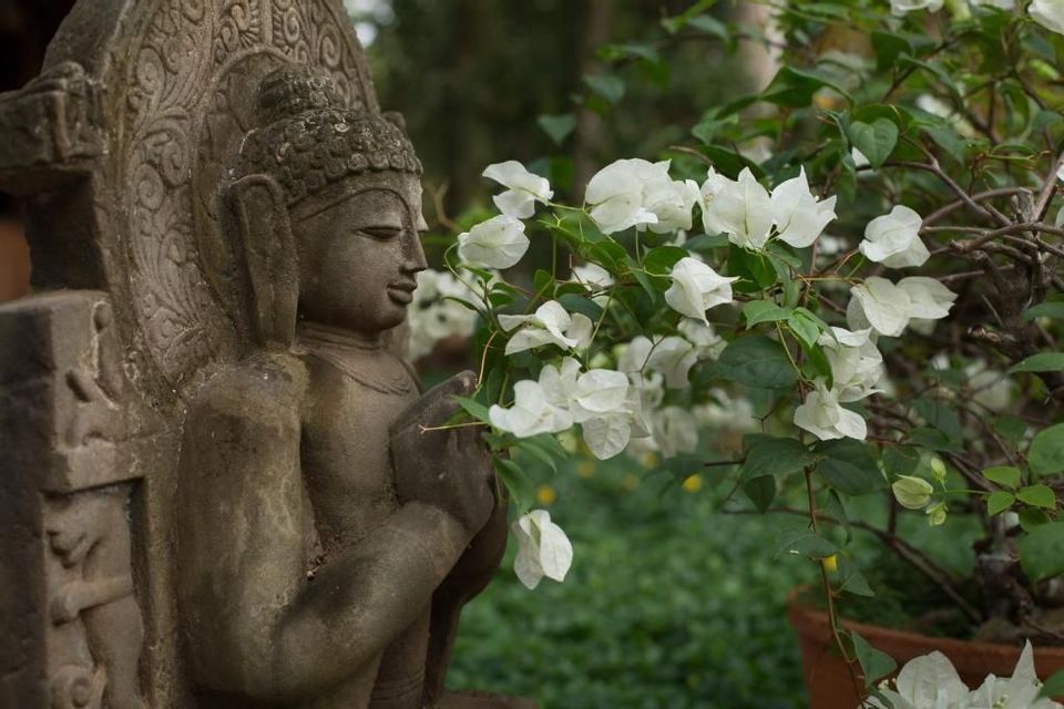 Una statua di pietra consumata dal tempo di una divinità è mostrata di profilo, accanto a un cespuglio fiorito con fiori bianchi in un giardino verde.