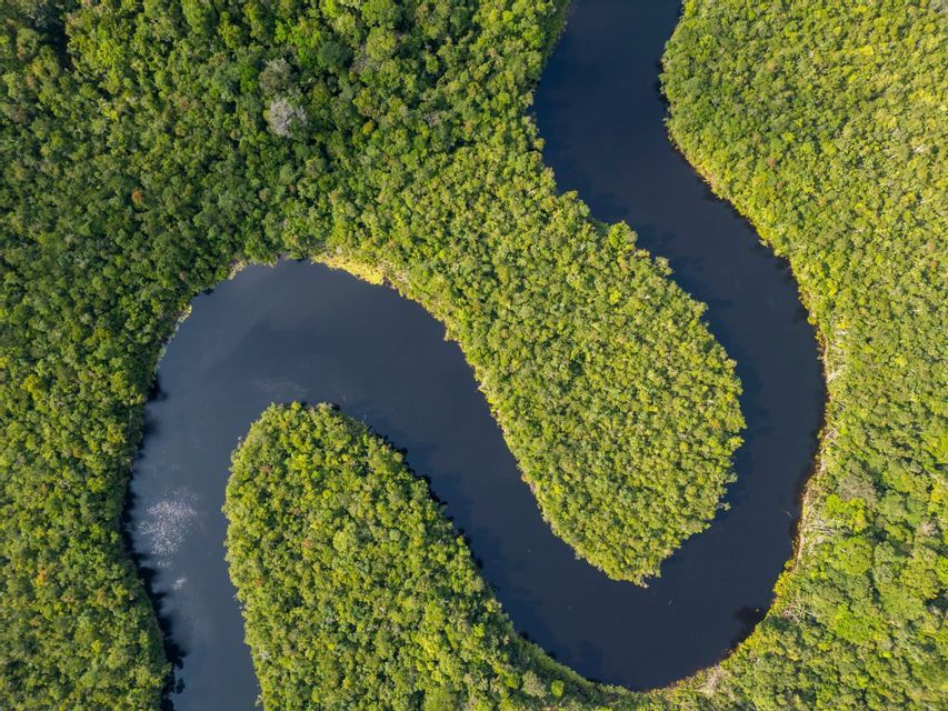 Vue aérienne d'une rivière sombre serpentant en S à travers une canopée forestière dense et vert vif.