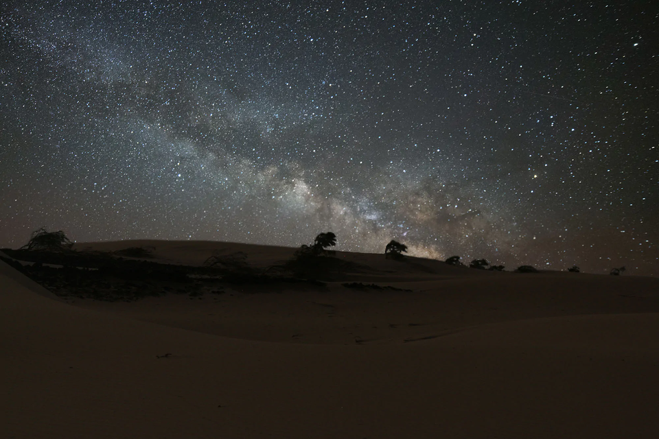 La Via Lattea e innumerevoli stelle risplendono luminose nel cielo notturno sopra le dune del deserto in silhouette e alberi sparsi.