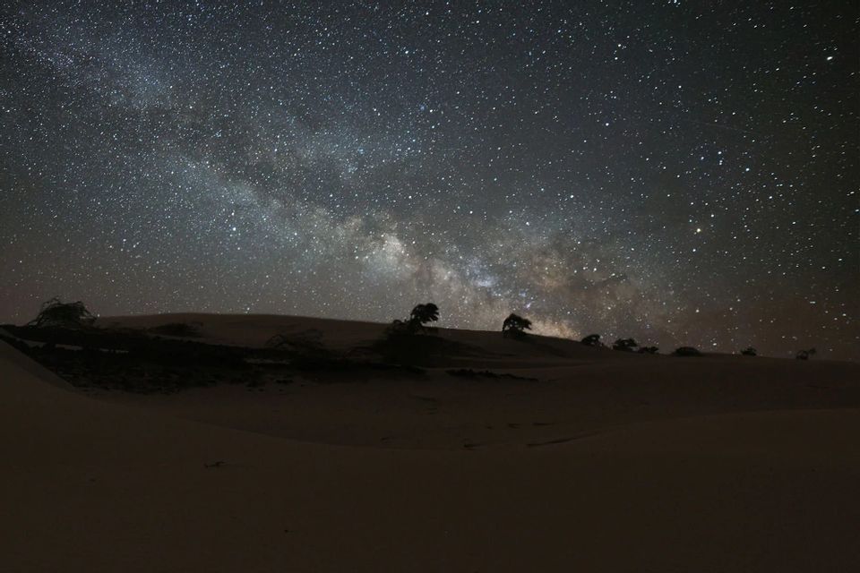 La Via Lattea si estende nel cielo notturno stellato sopra dune di sabbia in silhouette e alberi sparsi.
