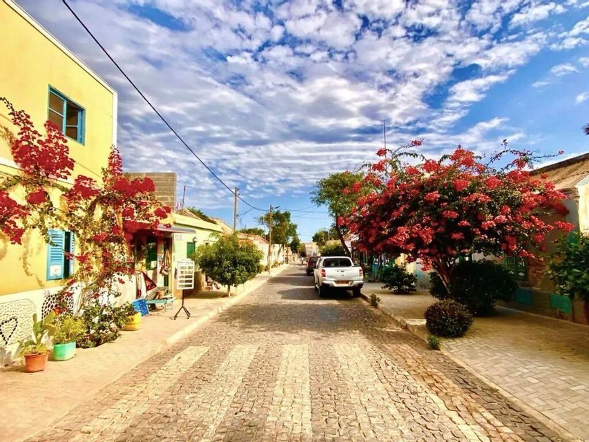 Una strada acciottolata e assolata è fiancheggiata da edifici colorati e alberi con fiori rossi, sotto un cielo parzialmente nuvoloso. Accanto è parcheggiato un pick-up bianco.