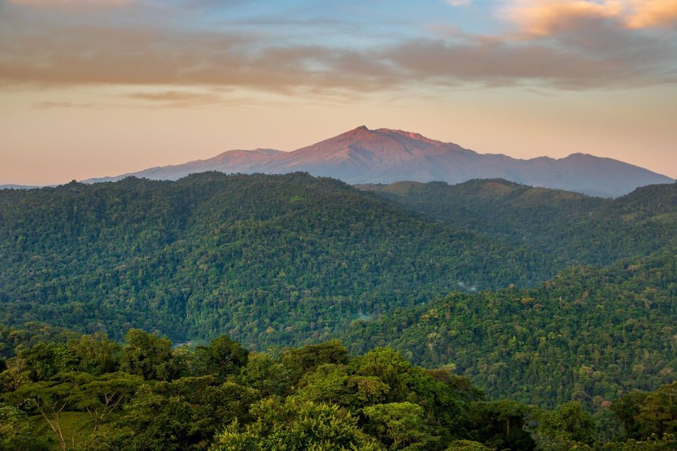 Un lontano picco montuoso si staglia su dolci colline ricoperte da una fitta giungla verde, sotto un cielo colorato al tramonto.