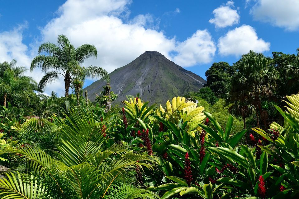 A large volcano stands behind a dense tropical jungle with palm trees and red flowers under a blue, cloudy sky.