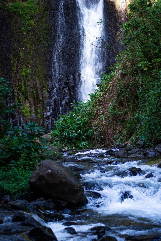 Un'alta cascata scende da una scura scogliera rocciosa in un ruscello impetuoso sottostante, circondata da una fitta vegetazione verde.