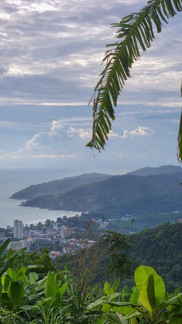 Una vista dall'alto di una città costiera adagiata tra colline boscose e il mare, con vegetazione tropicale in primo piano.