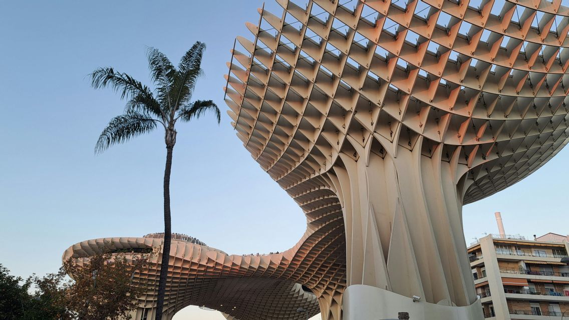 Una grande e moderna struttura a traliccio in legno si erge accanto a un'alta palma, illuminata da una luce calda sotto un cielo sereno.