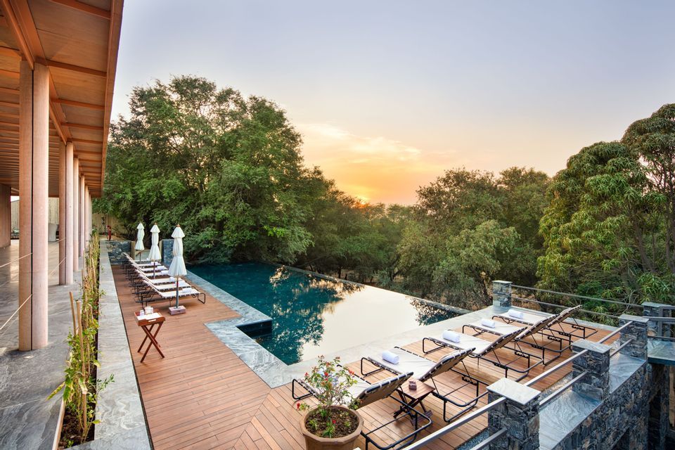 Una piscina infinita con tumbonas en una terraza de madera, con vistas a un bosque al atardecer.