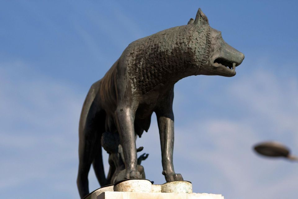Estatua de bronce de una loba amamantando a dos infantes, vista desde un ángulo bajo bajo un cielo azul despejado.