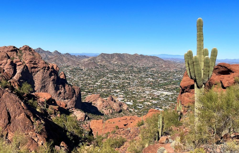 Un imponente cactus saguaro si erge su una scogliera di roccia rossa, affacciandosi su una vasta città in una valle circondata da montagne sotto un cielo azzurro e limpido.