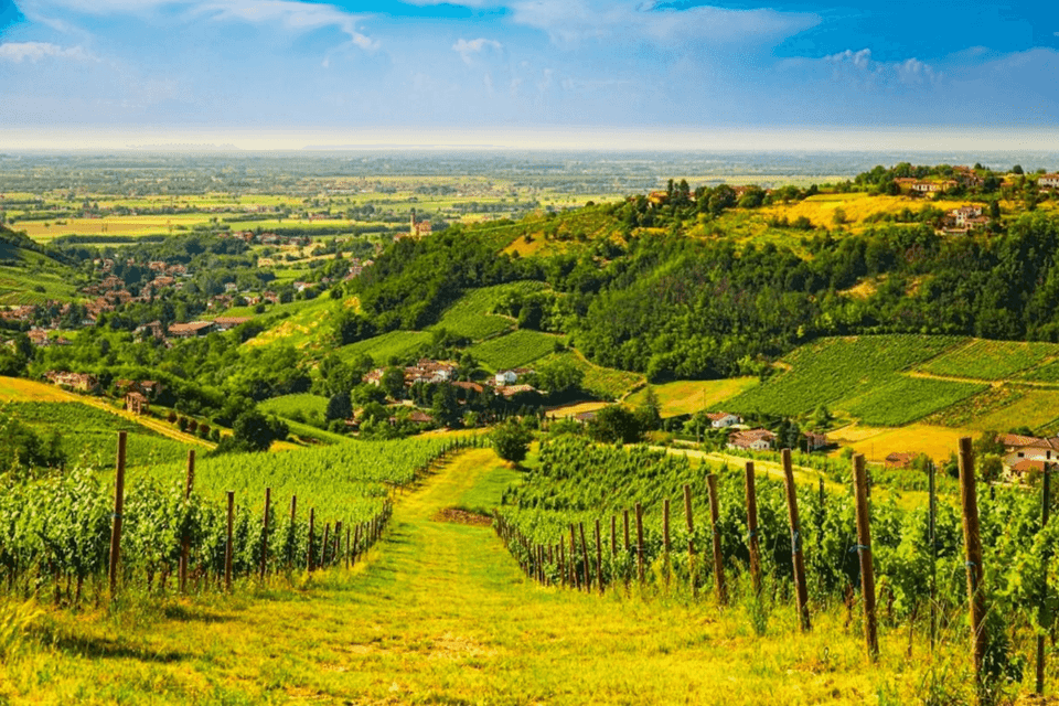 Una vista da un vigneto in collina che domina dolci colline verdi, borghi e una pianura distante sotto un cielo azzurro.