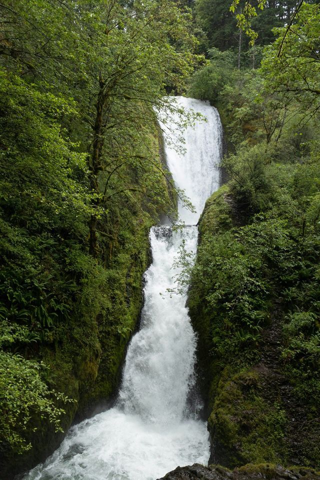 Una cascata a due livelli si riversa in una gola rocciosa, circondata da una lussureggiante foresta verde.