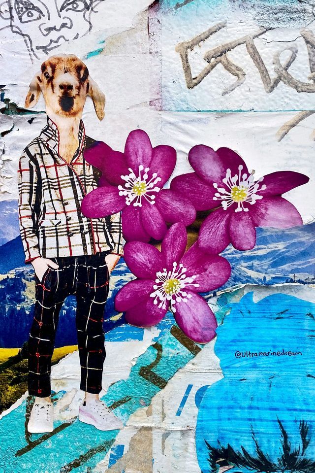 Ein Mixed-Media-Collage einer Figur mit Ziegenkopf, die schottische Kleidung trägt, vor einem Hintergrund aus lila Blumen und Graffiti.