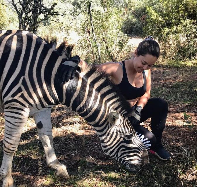 Une femme en tenue de sport s'agenouille pour caresser un zèbre alors qu'il broute de l'herbe dans une zone ensoleillée et boisée.