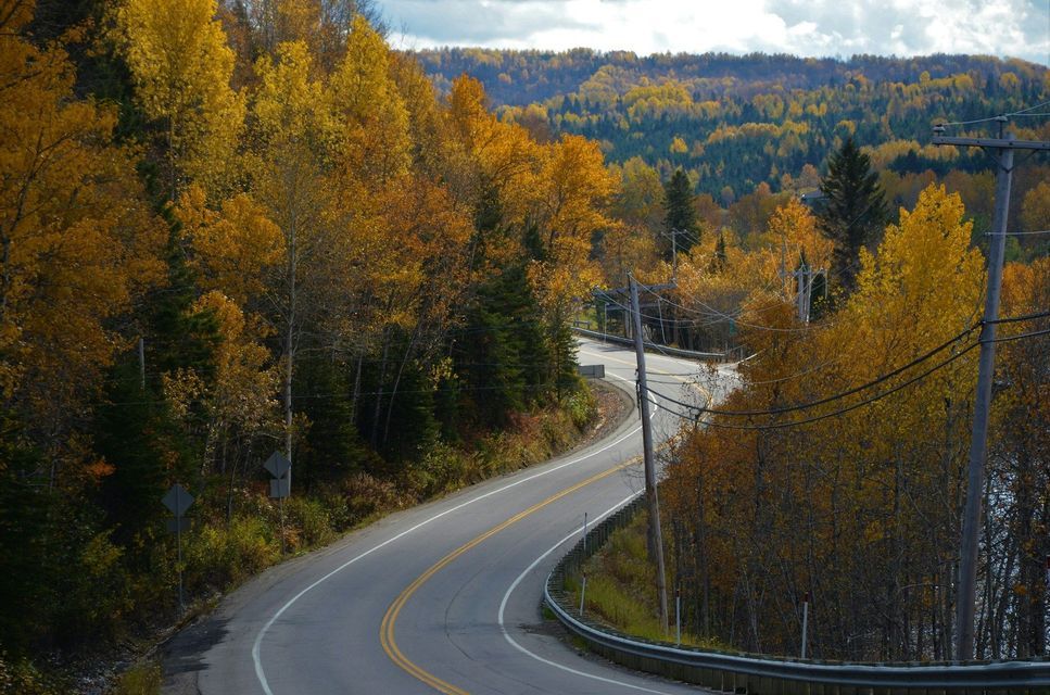 Una strada asfaltata tortuosa si snoda attraverso una fitta foresta con un vibrante fogliame autunnale giallo e oro sotto un cielo parzialmente nuvoloso.