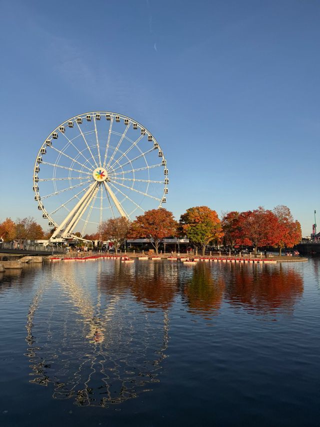 Una grande ruota panoramica bianca e alberi con fogliame autunnale si riflettono nell'acqua sottostante, su uno sfondo di cielo azzurro limpido.