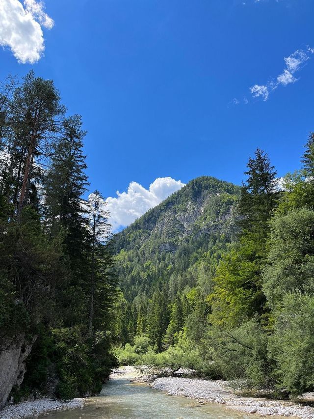 Un fiume poco profondo si snoda attraverso una fitta pineta ai piedi di una montagna verde sotto un cielo azzurro e limpido.