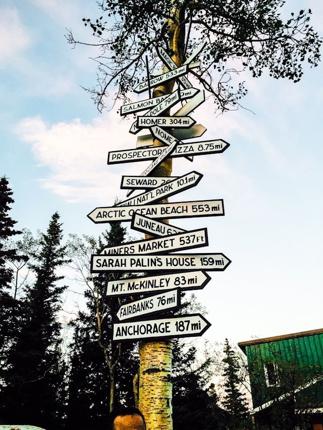 A birch tree trunk covered in directional signs pointing to various Alaskan locations like Anchorage, Fairbanks, and Mt. McKinley.