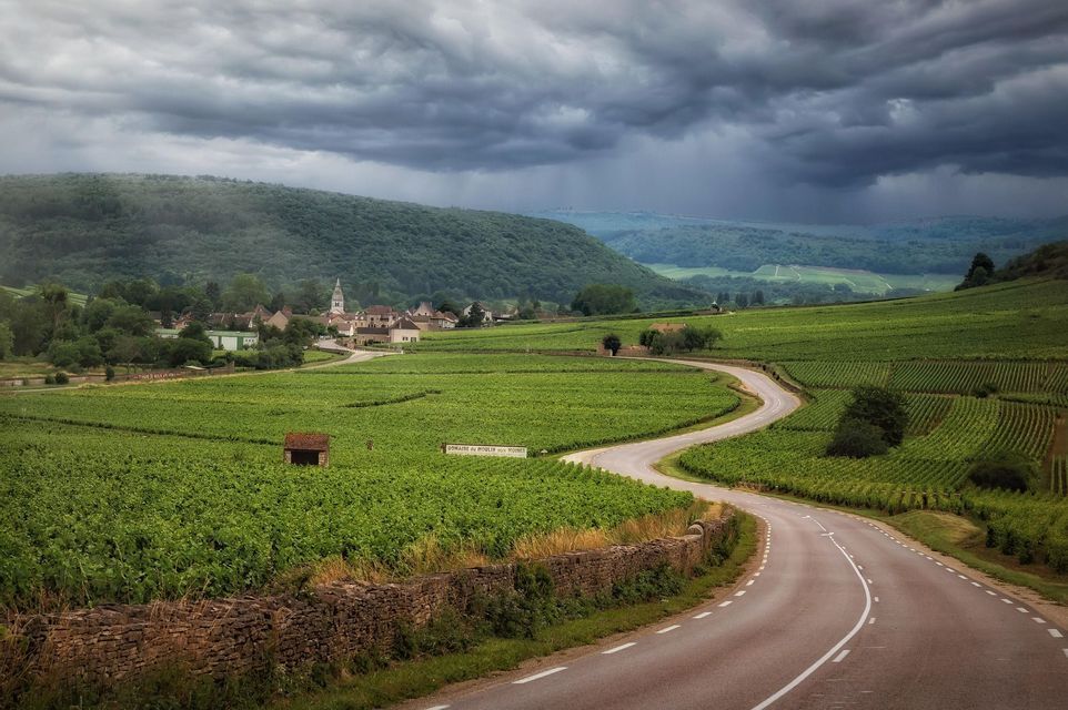 Una strada di campagna serpeggia tra rigogliosi vigneti verdi verso un piccolo borgo, con dolci colline sotto un cielo tempestoso e drammatico.