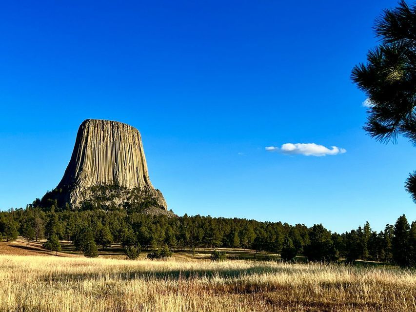 Una grande formazione rocciosa colonnare si erge sopra una fitta foresta verde e un campo di erba secca sotto un cielo azzurro limpido.
