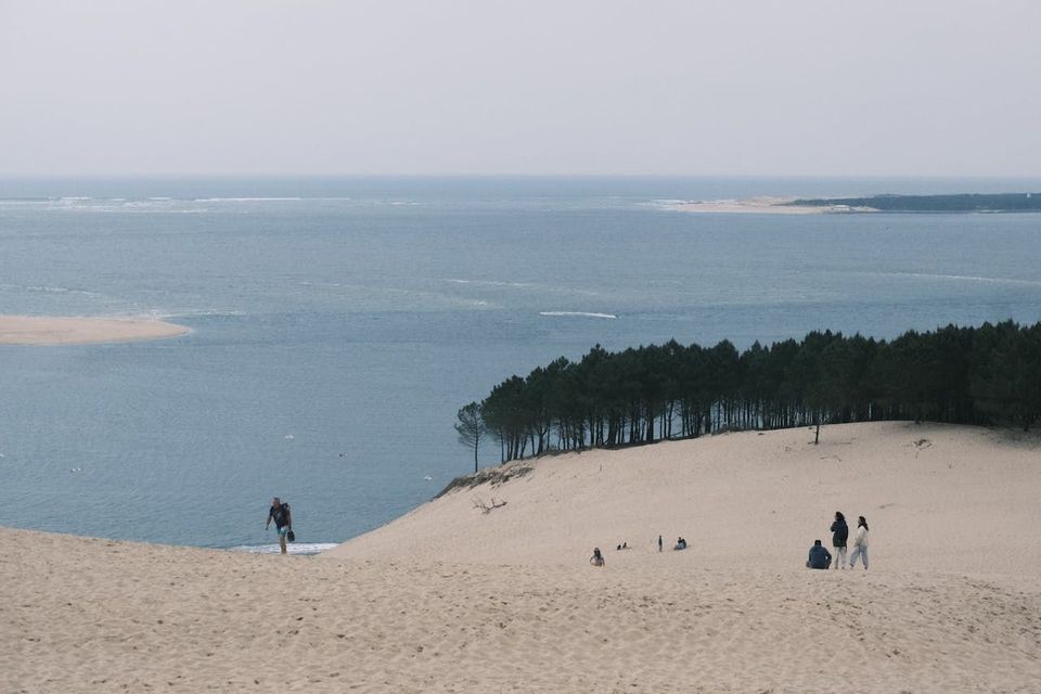 A WeRoad group trip on a large sand dune overlooking a pine forest and the sea on an overcast day.