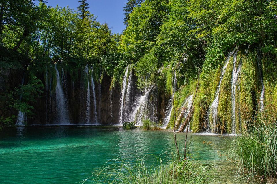 Diverse cascate scendono da una scogliera verde muschiosa in un lago turchese e cristallino, circondato da una fitta foresta sotto un cielo azzurro.