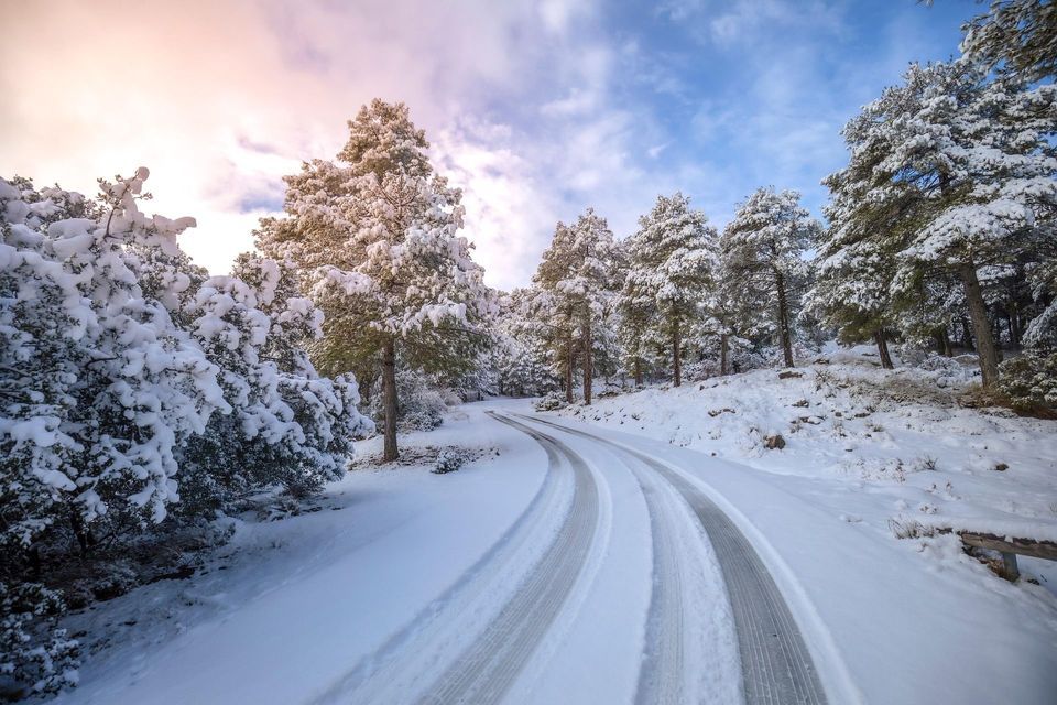 Un camino nevado con huellas de neumáticos serpentea a través de un bosque de pinos cubiertos de nieve bajo un cielo nublado.