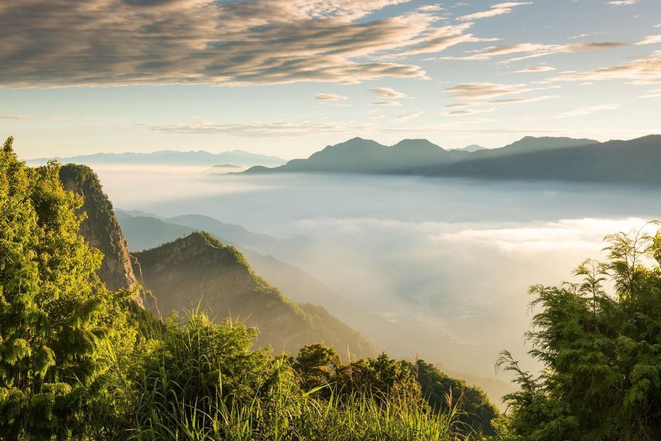 Eine sonnenbeschienene Bergkette mit einem Wolkenmeer, das die Täler bedeckt, von einem hohen Aussichtspunkt mit grünen Bäumen im Vordergrund.