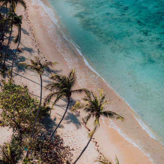 Una vista aerea di una spiaggia sabbiosa costeggiata da palme mentre l'acqua turchese bagna delicatamente la riva.