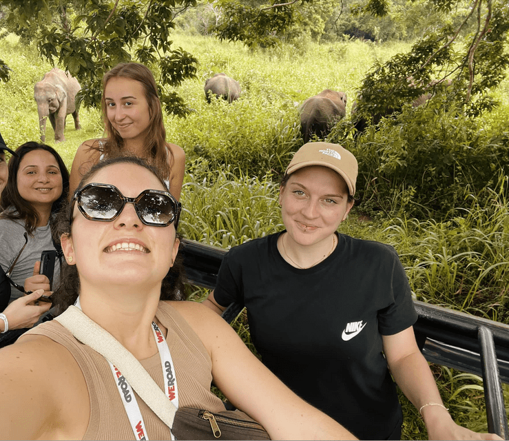 Un groupe WeRoad de quatre femmes prenant un selfie dans un véhicule, avec des éléphants broutant dans la savane en arrière-plan.