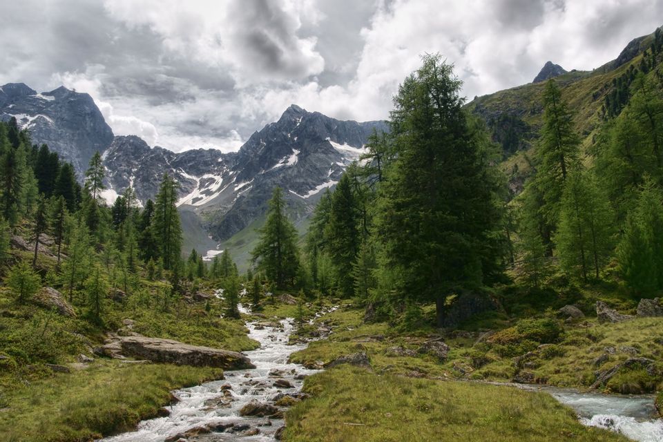 Ein felsiger Bach fließt durch ein von Kiefern bewaldetes Tal auf schneebedeckte Berge unter einem bewölkten Himmel zu.