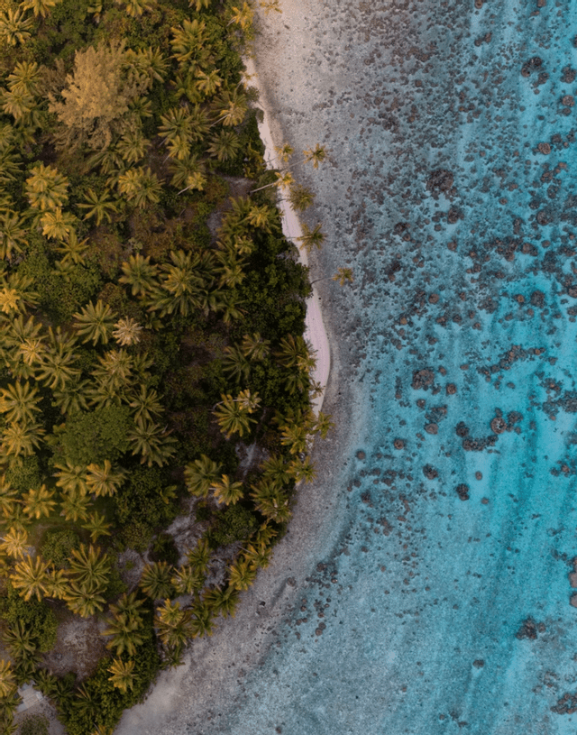 Veduta aerea dall'alto della costa di un'isola tropicale, che separa una fitta foresta di palme dal chiaro oceano turchese.