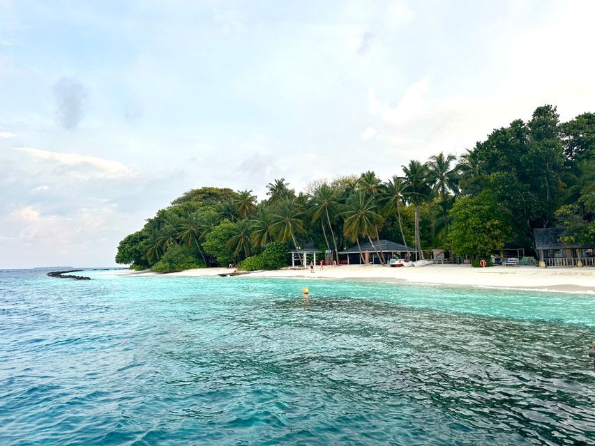 Une île tropicale avec une plage de sable blanc et des palmiers, vue depuis les eaux turquoise de l'océan sous un ciel nuageux.