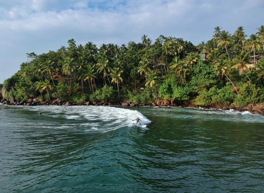 Un surfista cavalca un'onda su acqua verde scuro, con una costa rocciosa e ricoperta di palme sullo sfondo.