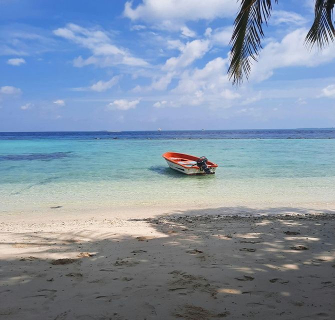 Una barca a motore arancione galleggia in acque turchesi cristalline vicino a una spiaggia di sabbia, vista da sotto una palma in una giornata di sole.