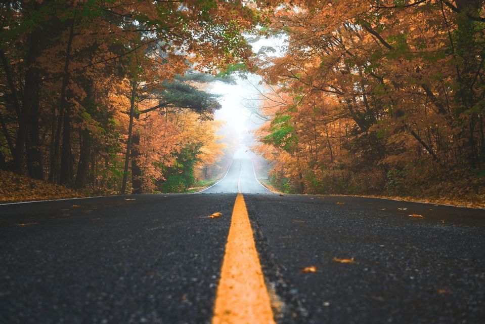 Una vista dal basso di una strada asfaltata con una linea gialla che attraversa un bosco con foglie autunnali arancioni e che svanisce nella nebbia.