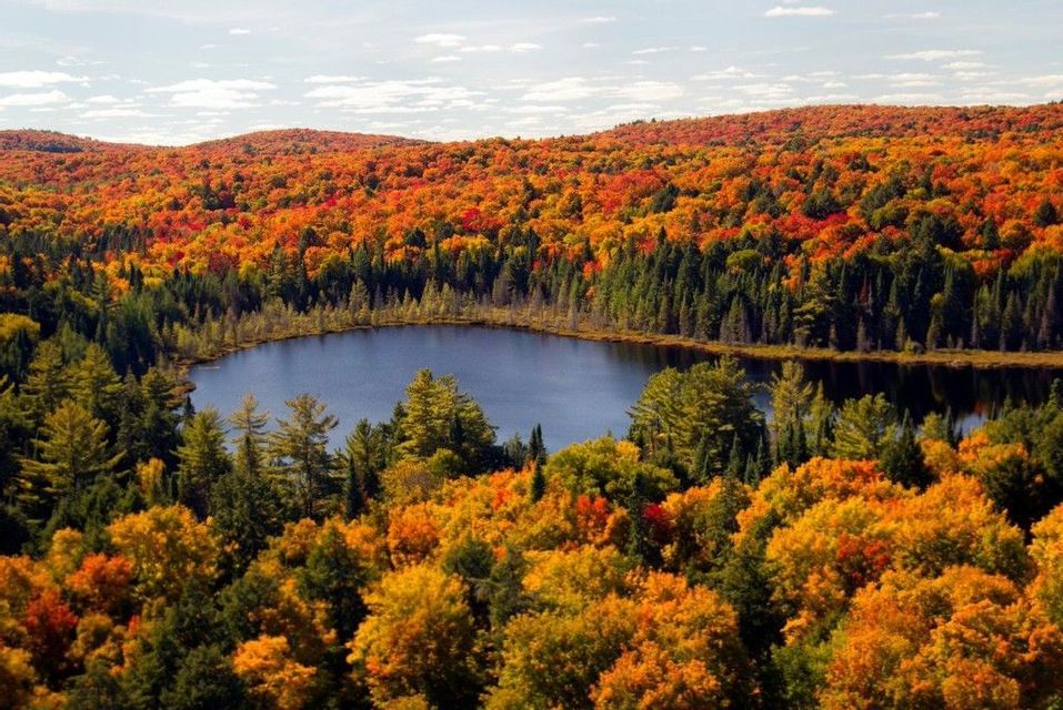 A blue lake is surrounded by a dense forest with orange and yellow autumn foliage covering rolling hills under a partly cloudy sky.