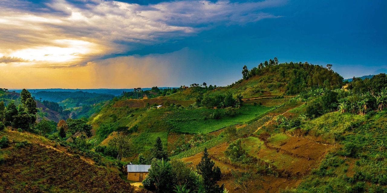 Une vaste étendue de collines verdoyantes et ondulantes, parsemée de terrasses agricoles et de quelques petites maisons, sous un ciel partagé entre soleil et nuages.
