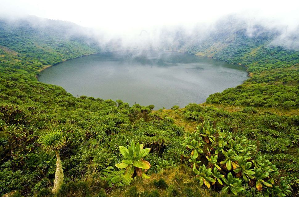 Vue plongeante d'un lac de cratère circulaire, entouré de collines à la végétation luxuriante et verte, sous un ciel brumeux et couvert.