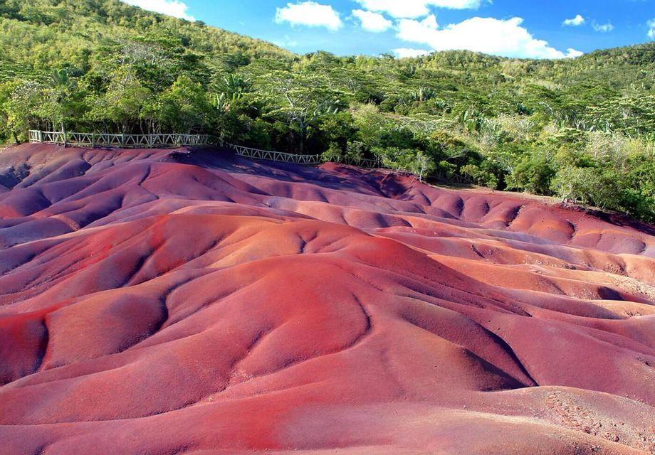 Dune di sabbia multicolori, con sfumature di rosso e viola, ondulano davanti a una lussureggiante foresta verde sotto un cielo azzurro.