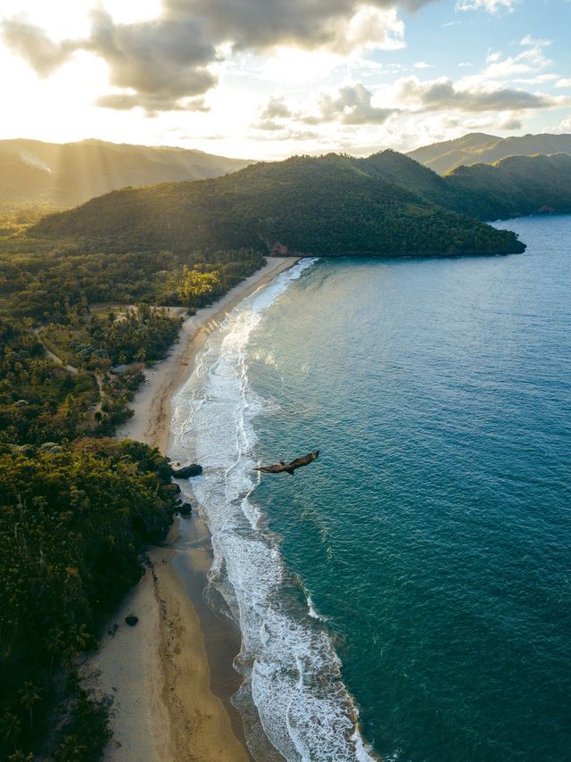 An aerial view of a large bird flying over the turquoise ocean along a sandy beach, with lush, tree-covered hills in the background.