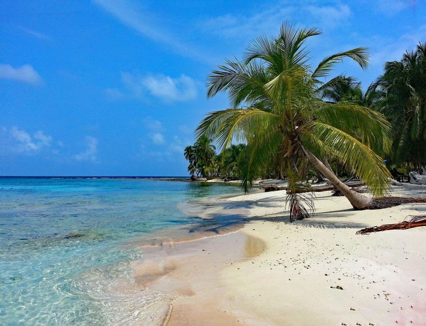 A palm tree leans over a white sand beach next to clear turquoise water under a bright blue sky.